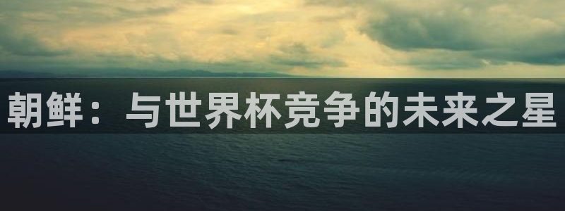 世界杯足球:朝鲜:与世界杯竞争的未来之星