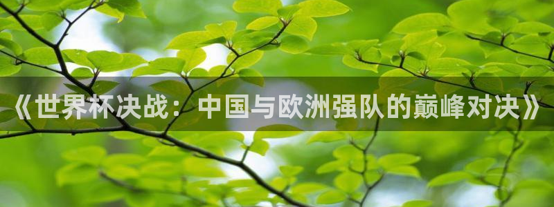 2026葡萄牙杯赛程表:《世界杯决战:中国与欧洲强队的巅峰对决》