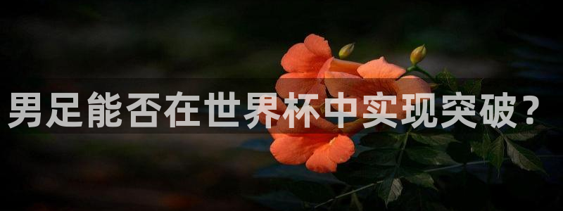2026足球世界杯赛程时间表:男足能否在世界杯中实现突破?