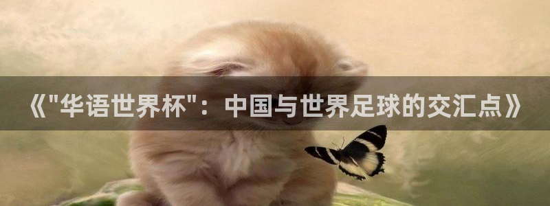 世俱杯直播:《\