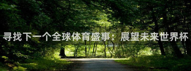 澳门世界杯直播:寻找下一个全球体育盛事:展望未来世界杯