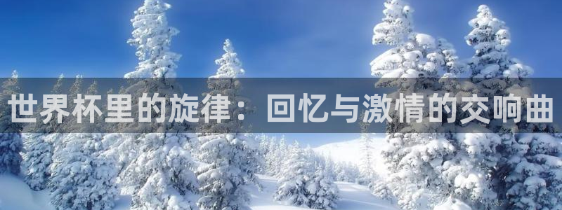 世界杯 赛程:世界杯里的旋律:回忆与激情的交响曲